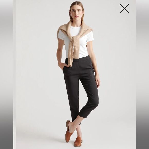 Quince Stretch Crepe Pleated Ankle Pants - Picture 1 of 11